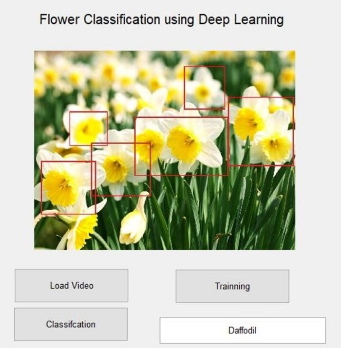 Flower Image Classifier Project